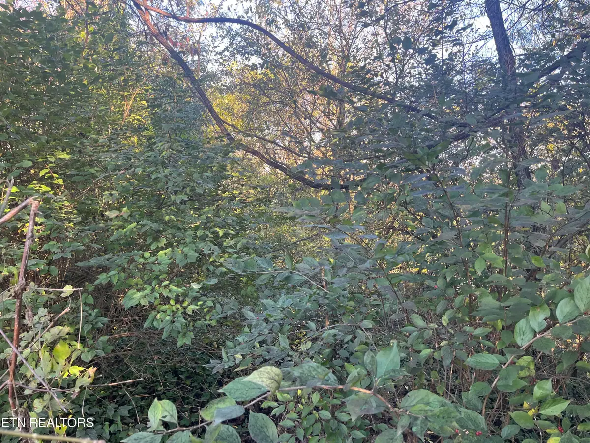 2917 Brooks Ave, Knoxville, TN 37914 - #1