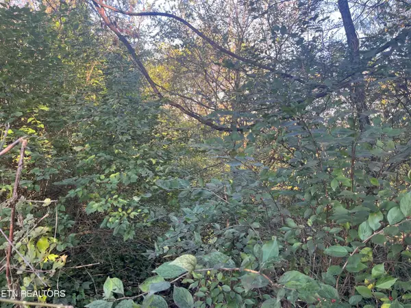 2917 Brooks Ave, Knoxville, TN 37914