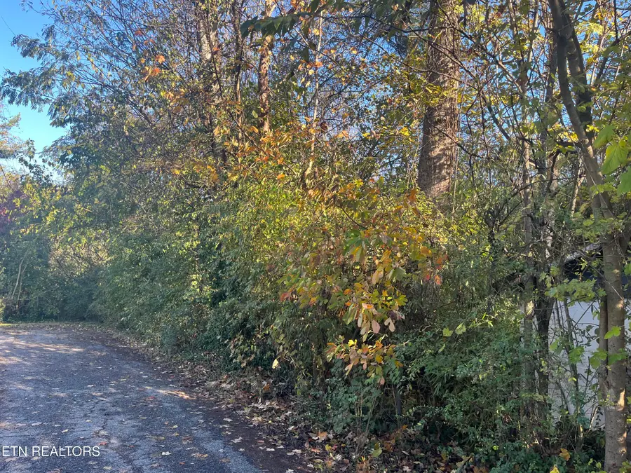 2917 Brooks Ave, Knoxville, TN 37914 - #2