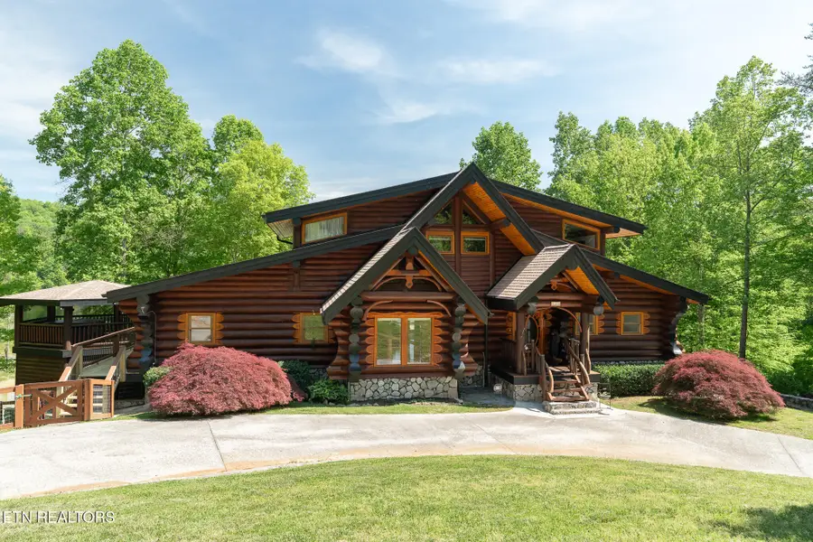 546 Bluff View Rd, New Tazewell, TN 37825 - #3