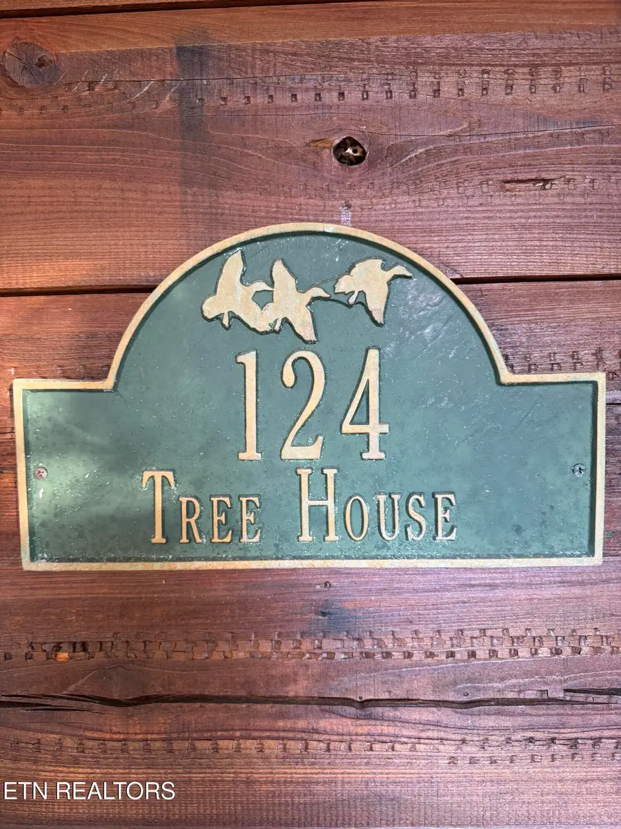 124 Cutter Gap Rd, Townsend, TN 37882 - #3