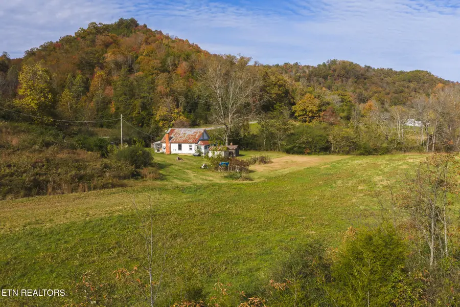 1619 Lynn Flanary Rd, Blackwater, VA 24221 - #3