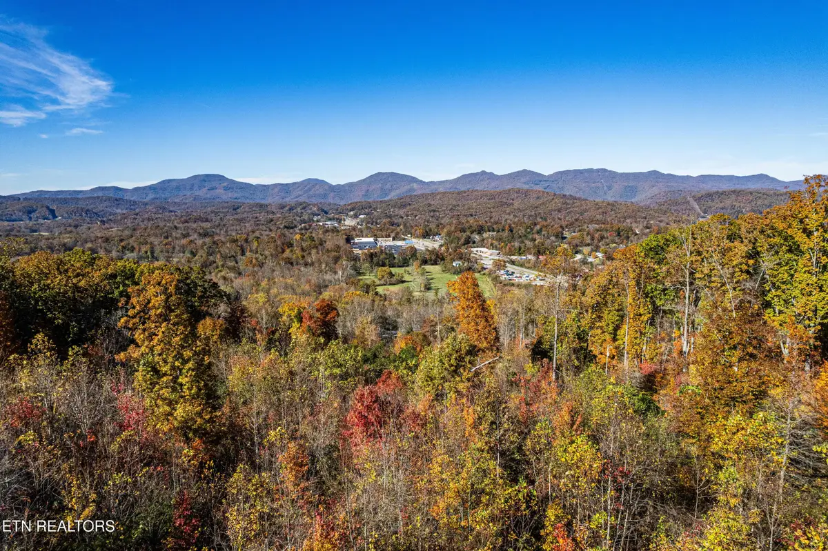 247 Mahoney Rd, Oliver Springs, TN 37840 - #1