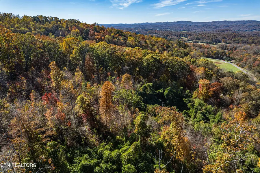 247 Mahoney Rd, Oliver Springs, TN 37840 - #2