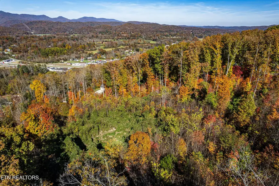 247 Mahoney Rd, Oliver Springs, TN 37840 - #3