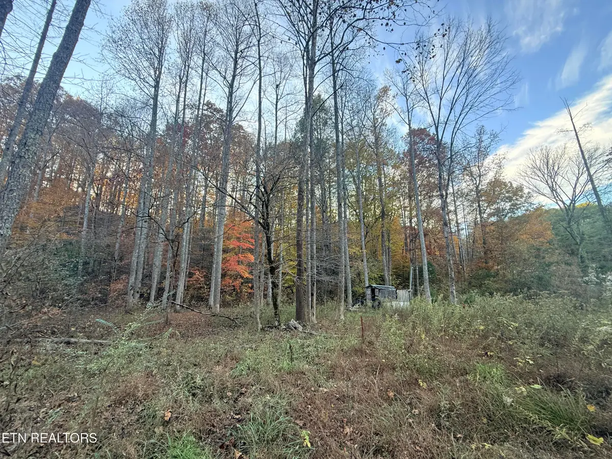 Lot 42/43 Deerfoot Rd, Newport, TN 37821 - #1