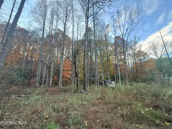 Lot 42/43 Deerfoot Rd, Newport, TN 37821