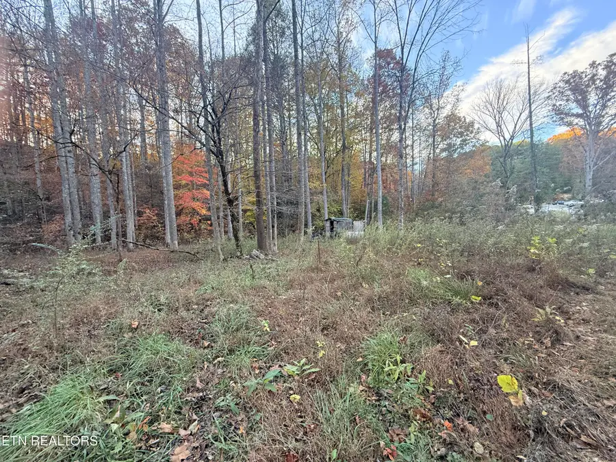 Lot 42/43 Deerfoot Rd, Newport, TN 37821 - #3