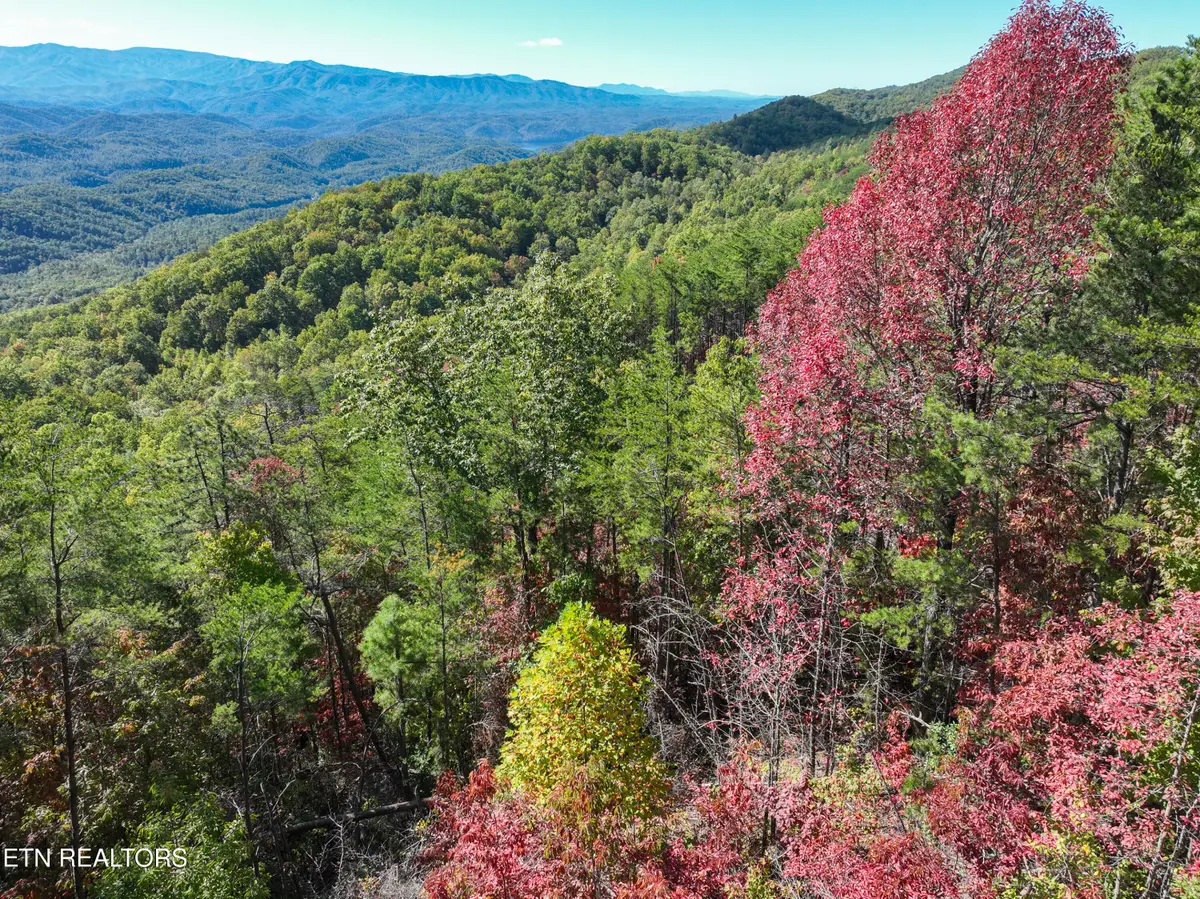 Lot #32 Chilhowee Tr, Maryville, TN 37803 - #1