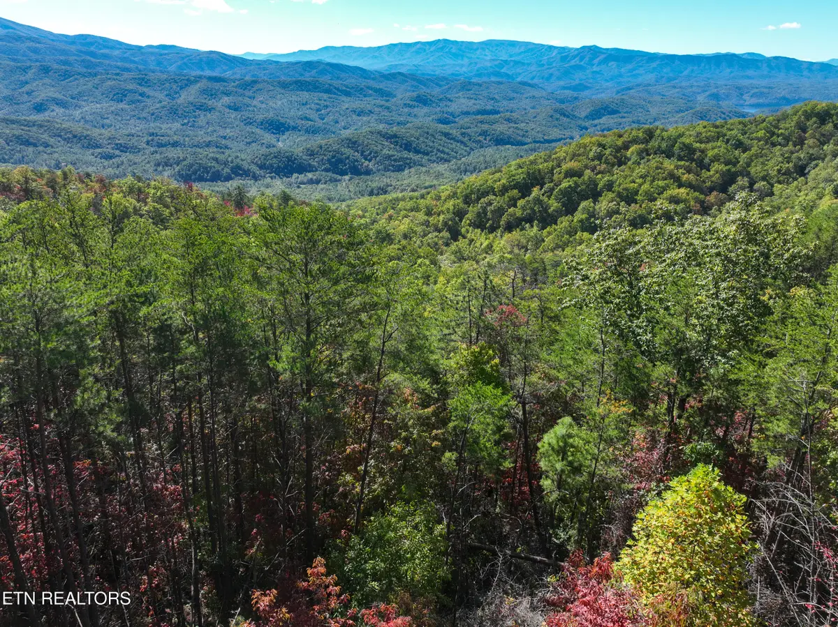 Lot #32-B Chilhowee Tr, Maryville, TN 37803 - #1