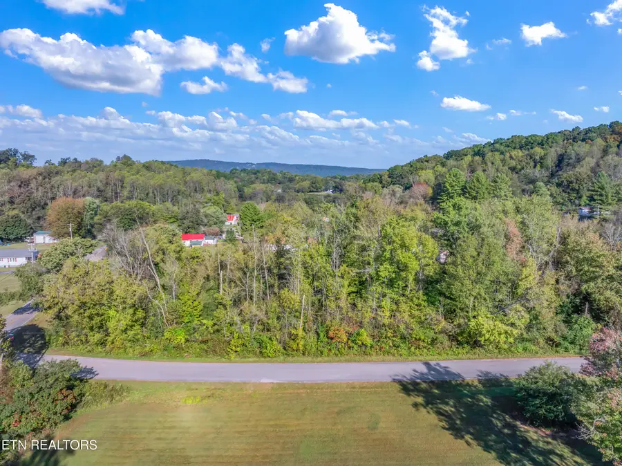 Balboa Drive, Rockwood, TN 37854 - #3