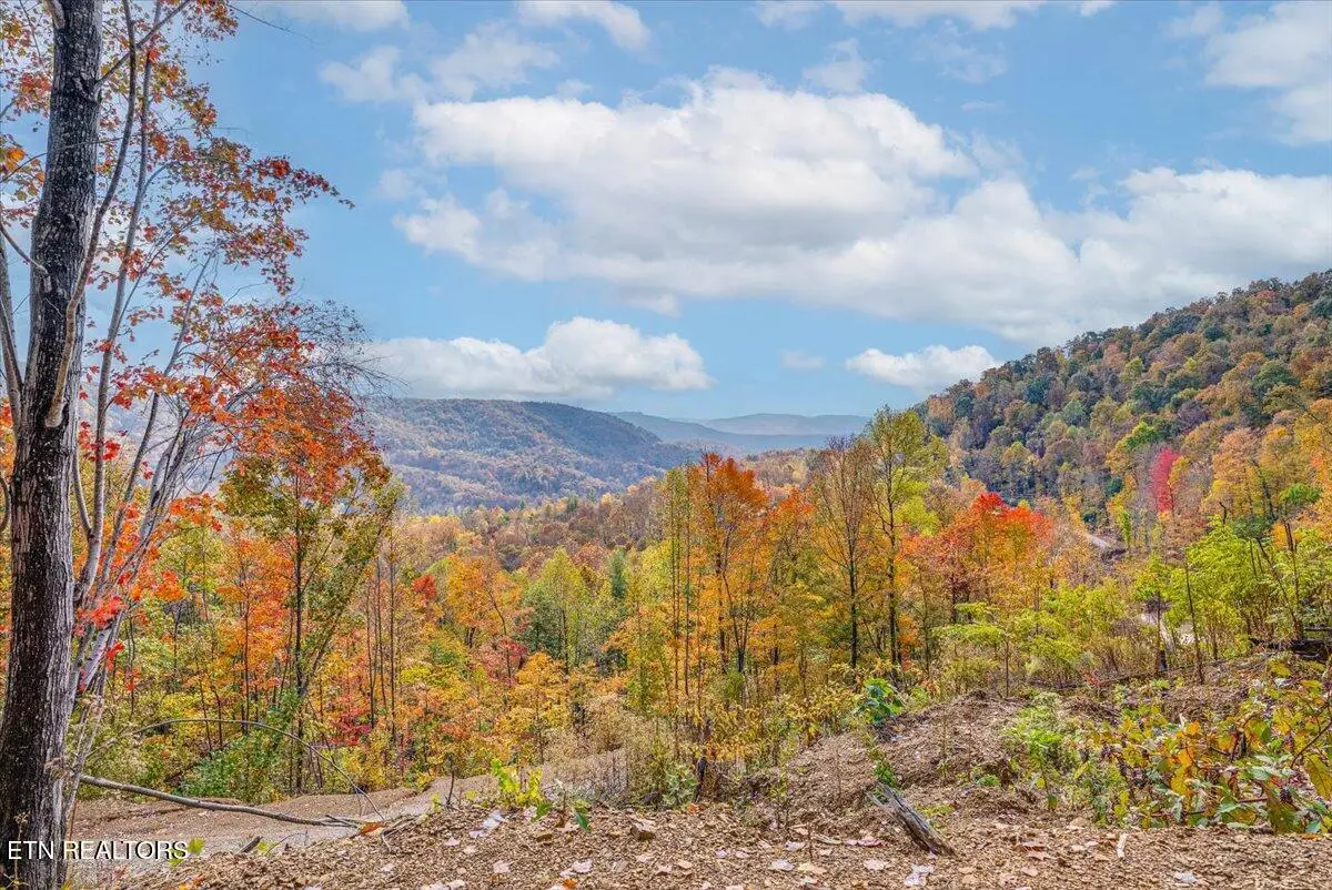 00 Buffalo Rd, Oneida, TN 37841 - #1