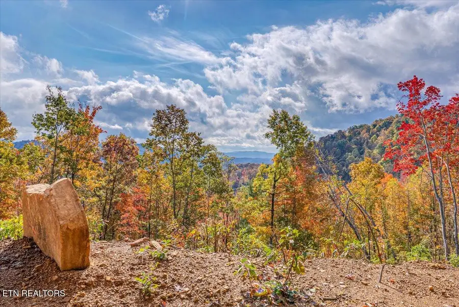 00 Buffalo Rd, Oneida, TN 37841 - #2