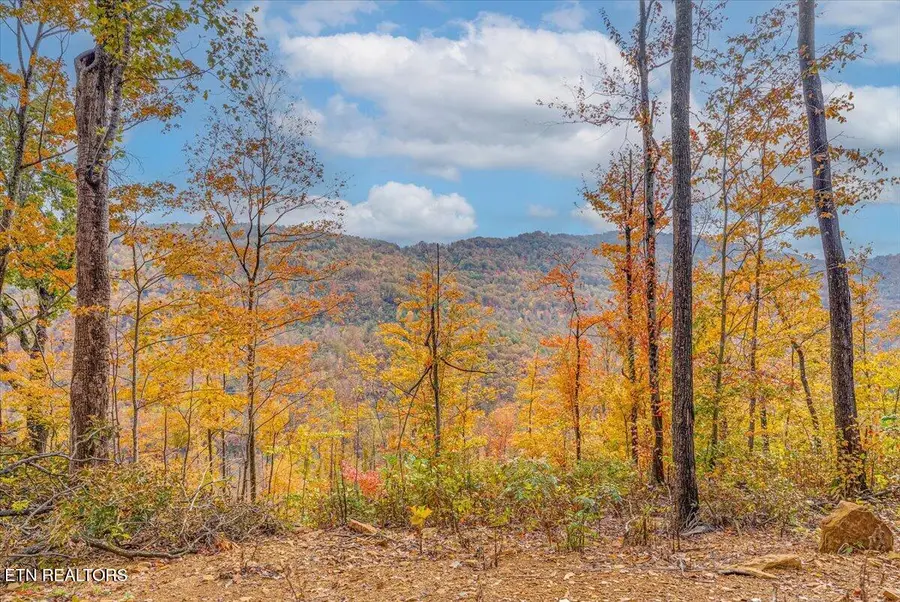 00 Buffalo Rd, Oneida, TN 37841 - #3