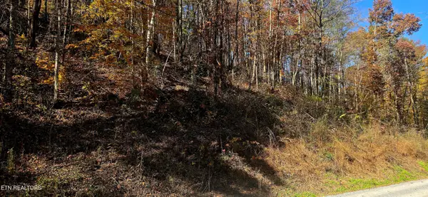 Emerald Springs Loop, Sevierville, TN 37862