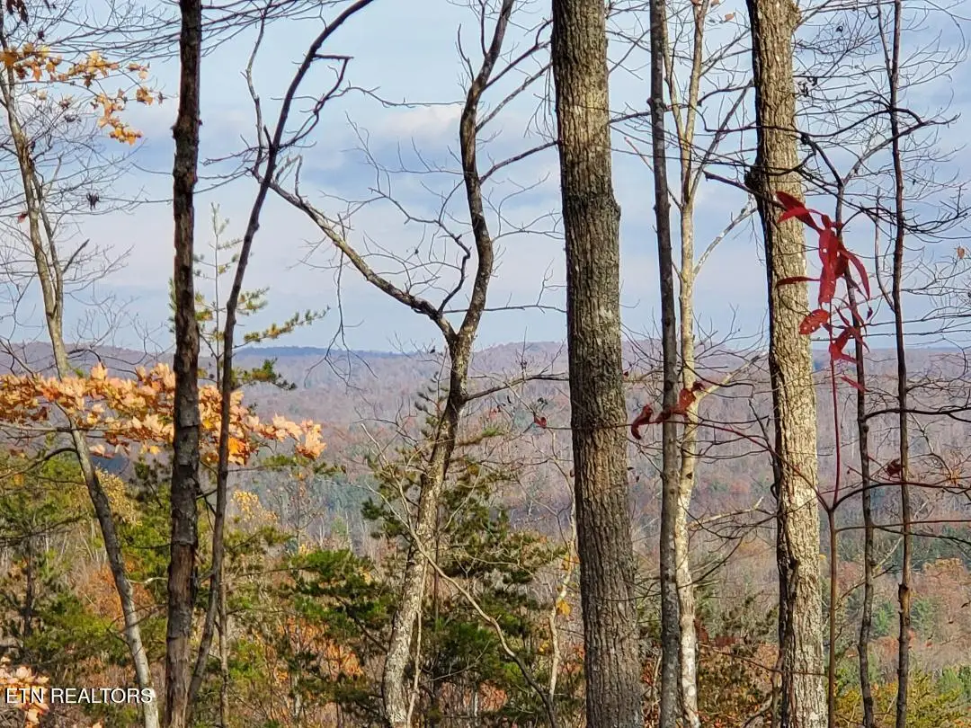 Atv Hilltop Lot H Rd, Huntsville, TN 37756 - #1