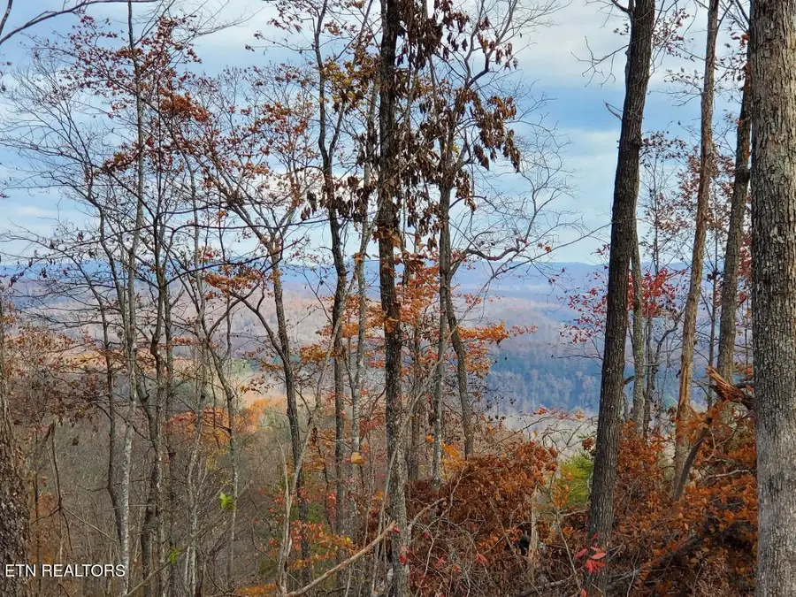 Atv Hilltop Lot H Rd, Huntsville, TN 37756 - #2