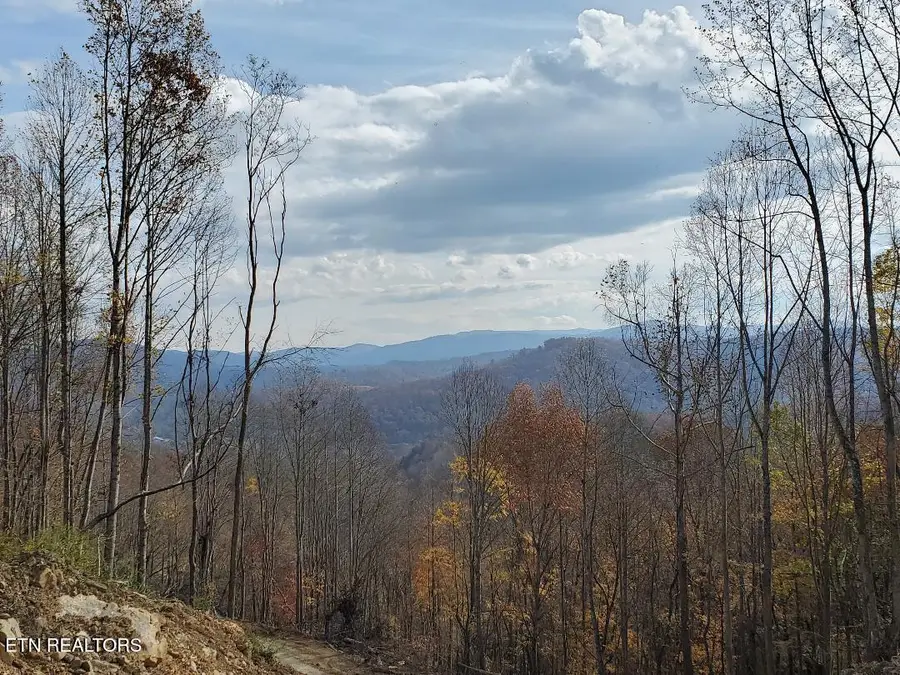 Atv Hilltop Lot H Rd, Huntsville, TN 37756 - #3