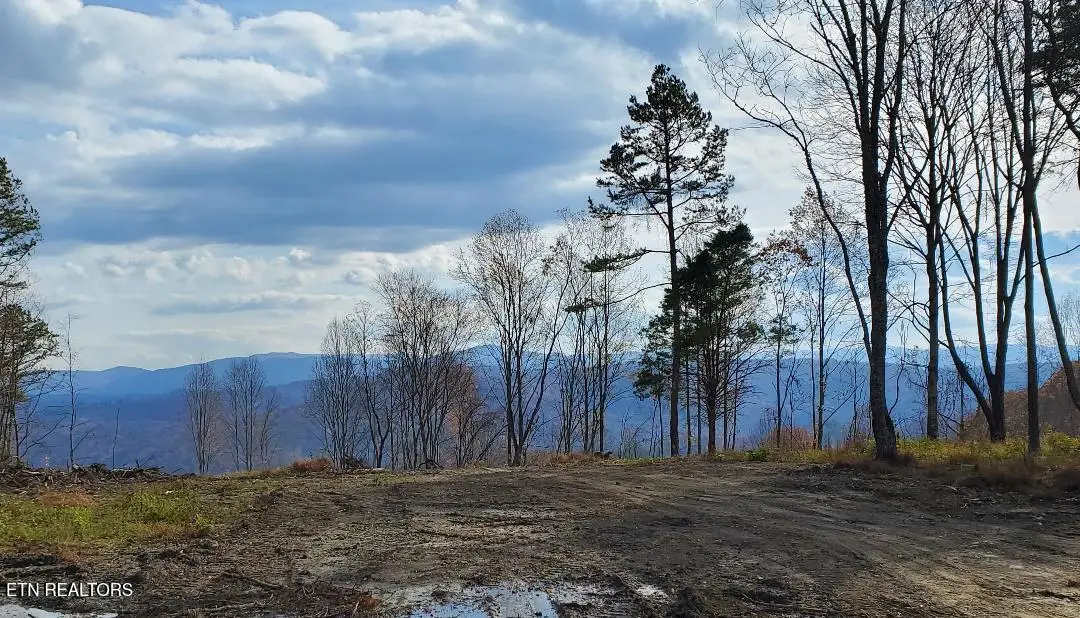 Atv Hilltop Lot K Rd, Huntsville, TN 37756 - #1