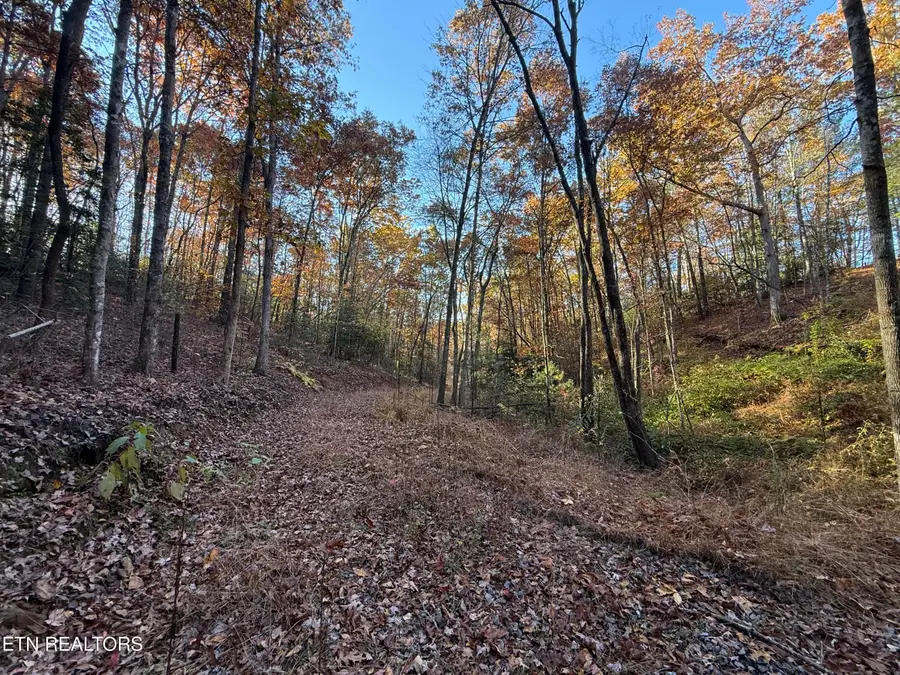 133 Megan Trace Lane, Turtletown, TN 37391 - #3