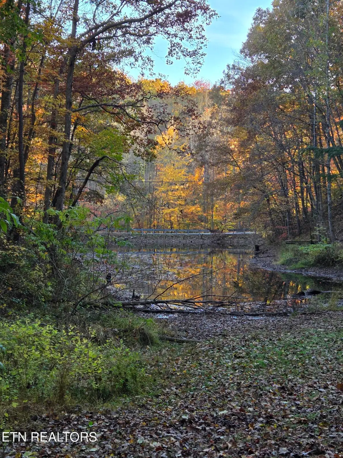 168 Pine Tr, Sevierville, TN 37876 - #1