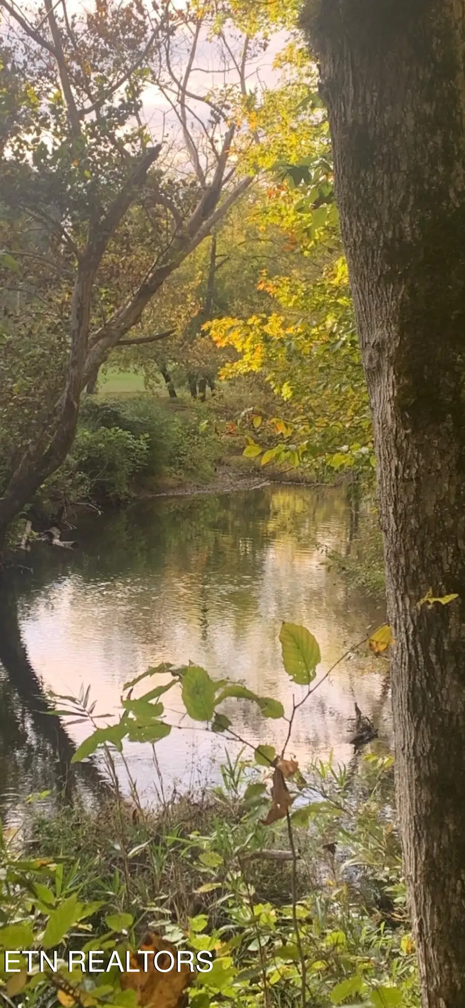 2168 Fairview Rd, Tellico Plains, TN 37385 - #1