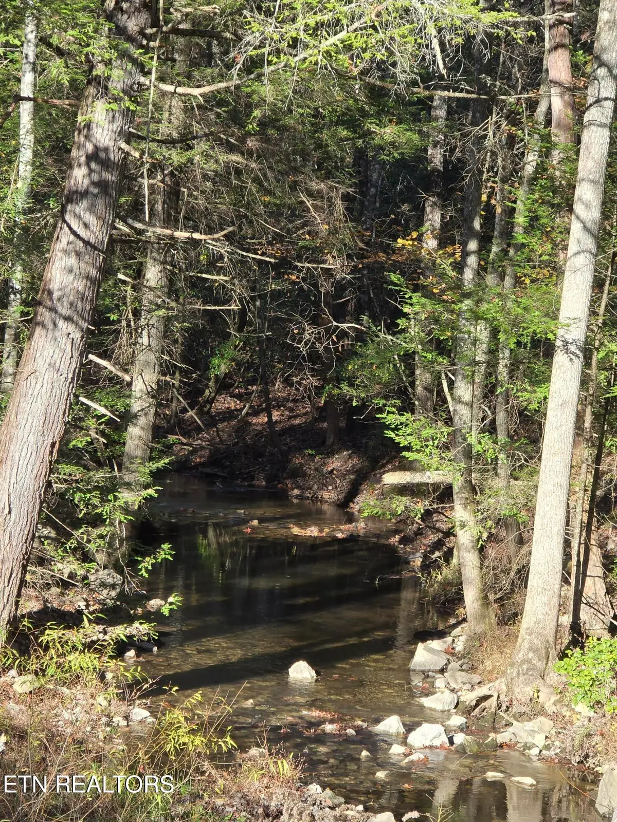 373 Georgee Rd, Jamestown, TN 38556 - #1