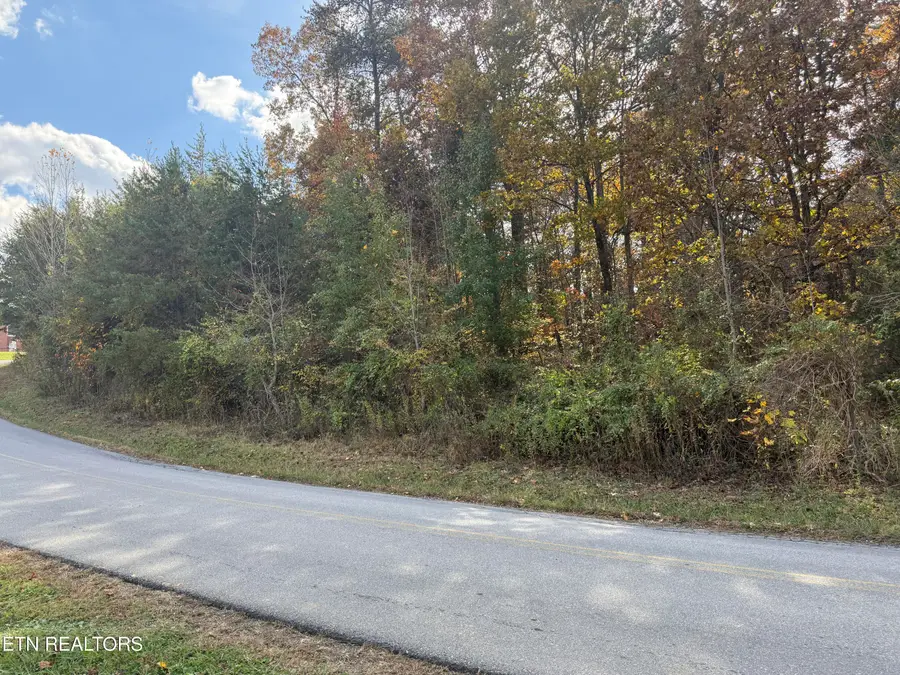 919 Nina Delozier Rd, Maryville, TN 37804 - #2