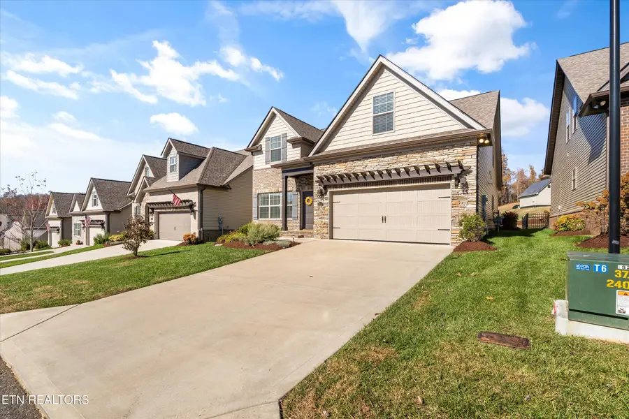 10113 Songbird Lane, Knoxville, TN 37931 - #3