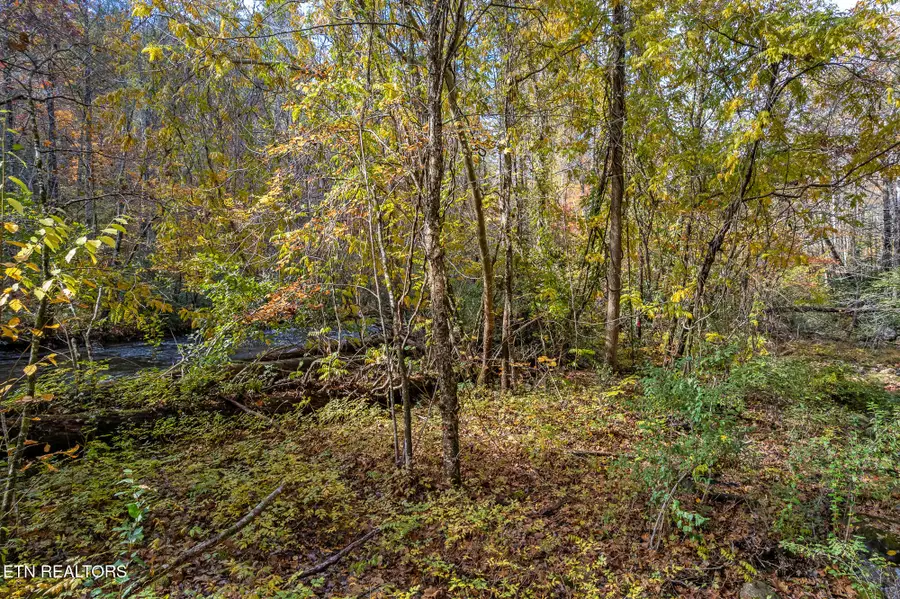 00 River Road, Tellico Plains, TN 37385 - #3