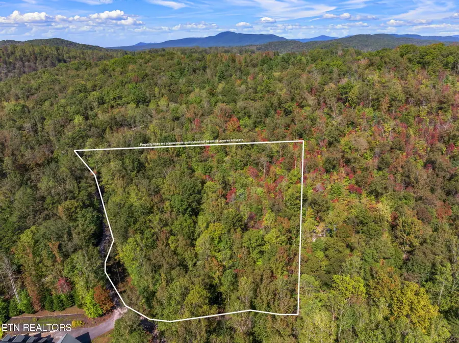 Tunnel Hill Rd, Harriman, TN 37748 - #3