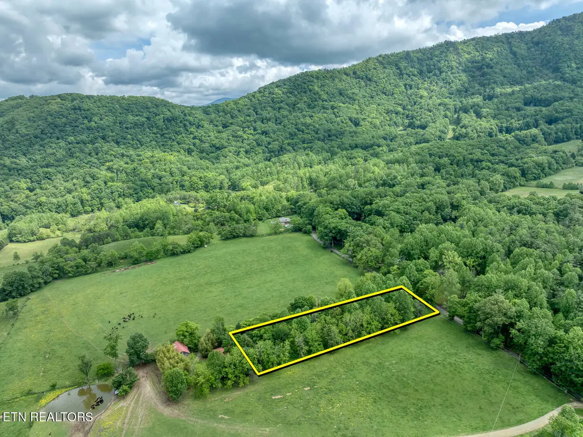 1153 Schoolhouse Gap Rd, Townsend, TN 37882 - #1