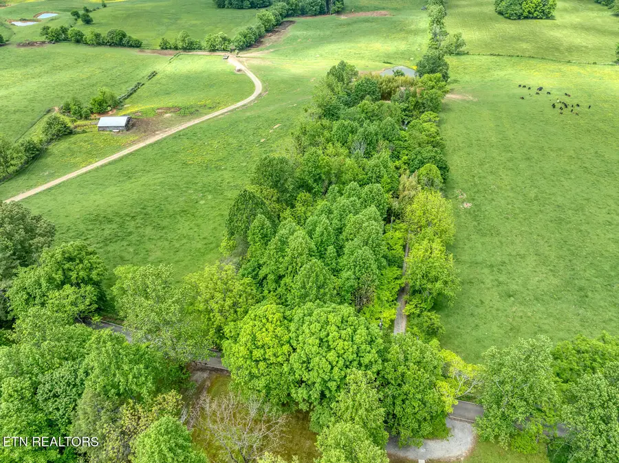 1153 Schoolhouse Gap Rd, Townsend, TN 37882 - #2