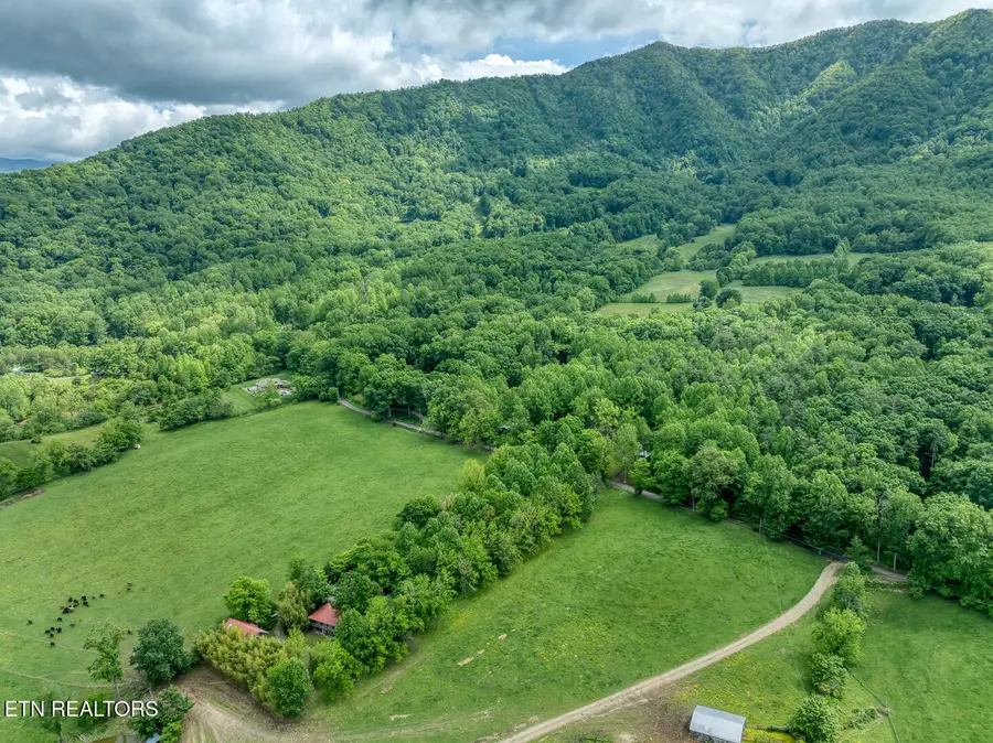1153 Schoolhouse Gap Rd, Townsend, TN 37882 - #3