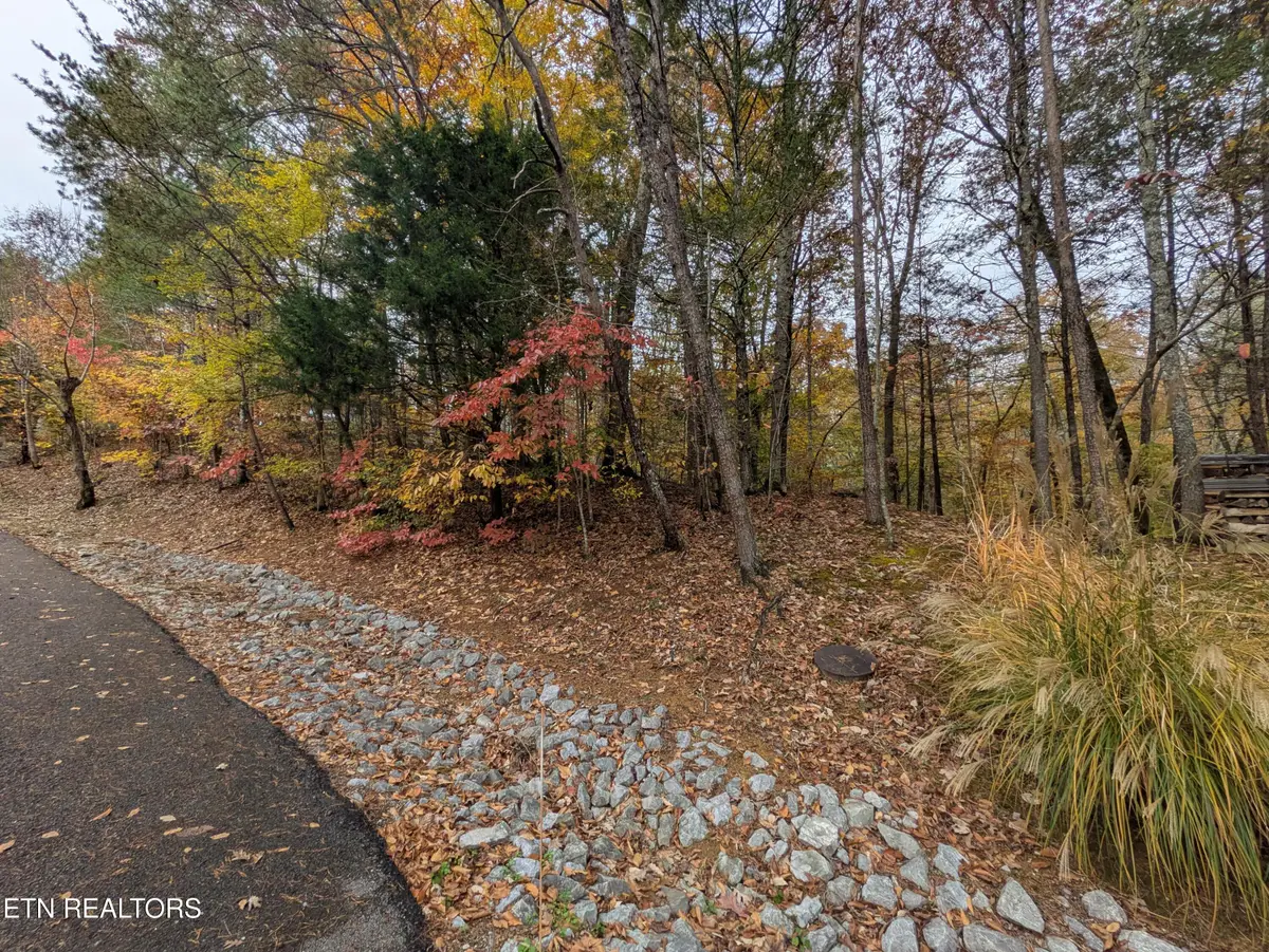 517 Clearwater Circle, Townsend, TN 37882 - #1