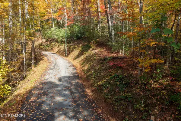 Lot 9 & 10 Laurel Mountain Rd, Gatlinburg, TN 37738
