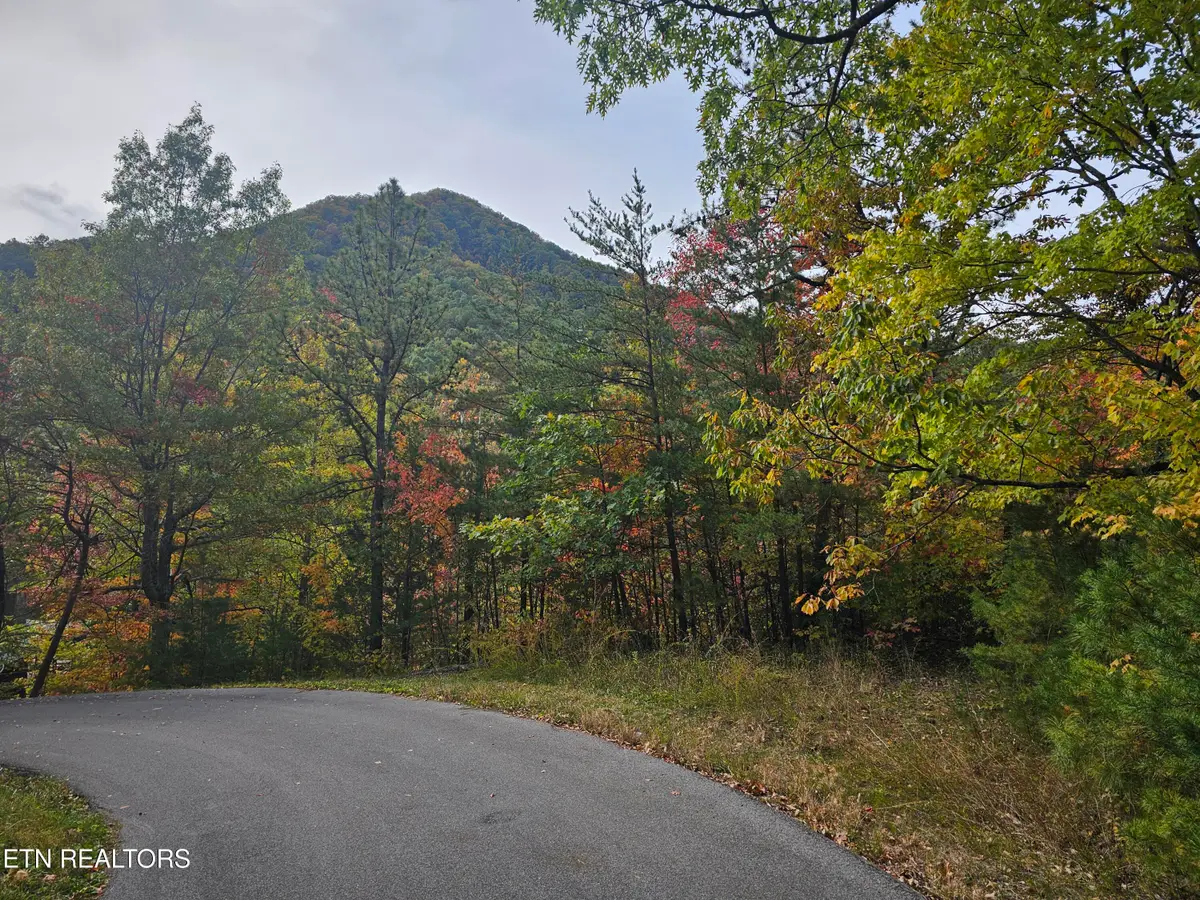 Denton Court, Sevierville, TN 37862 - #1