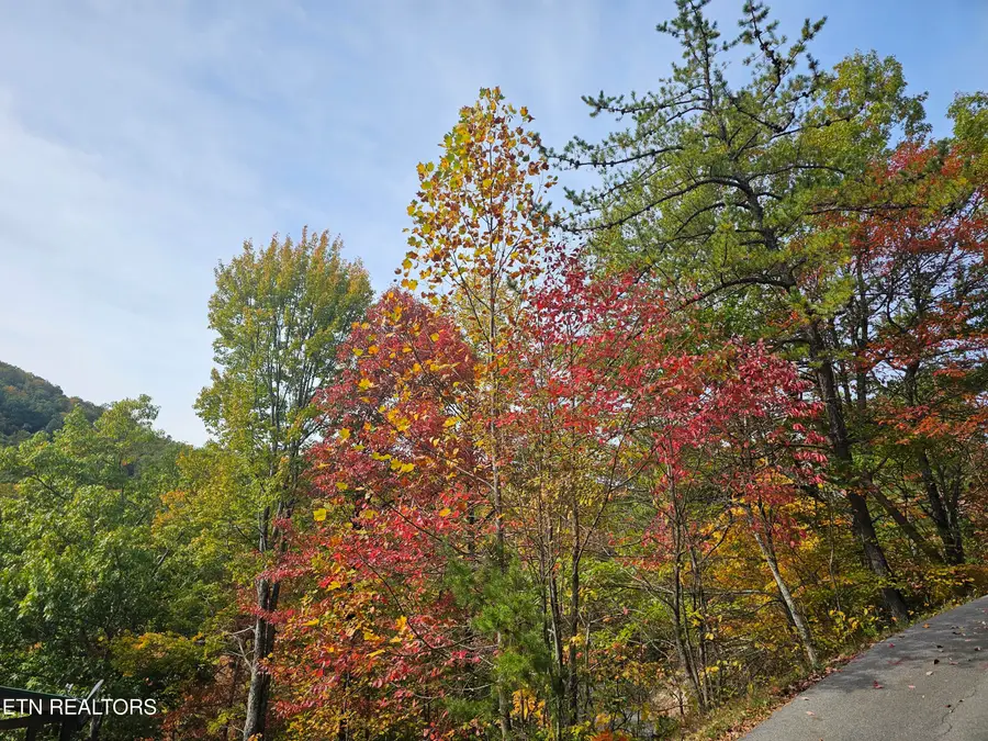 Denton Court, Sevierville, TN 37862 - #2