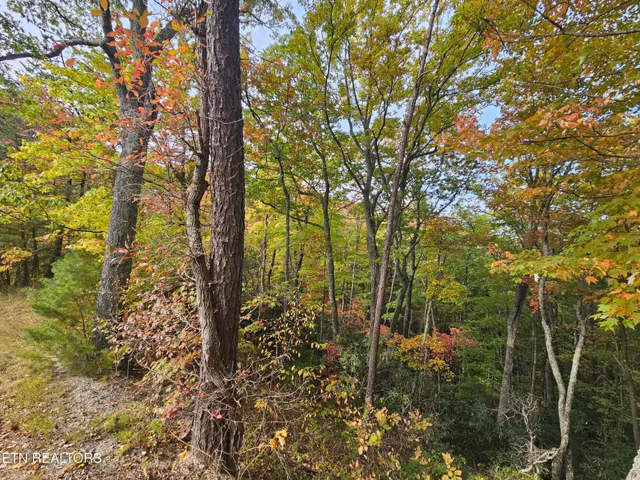 Denton Court, Sevierville, TN 37862 - #3