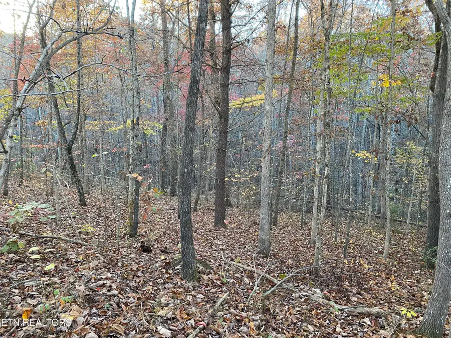 Cumberland View Drive, Crossville, TN 38571 - #3