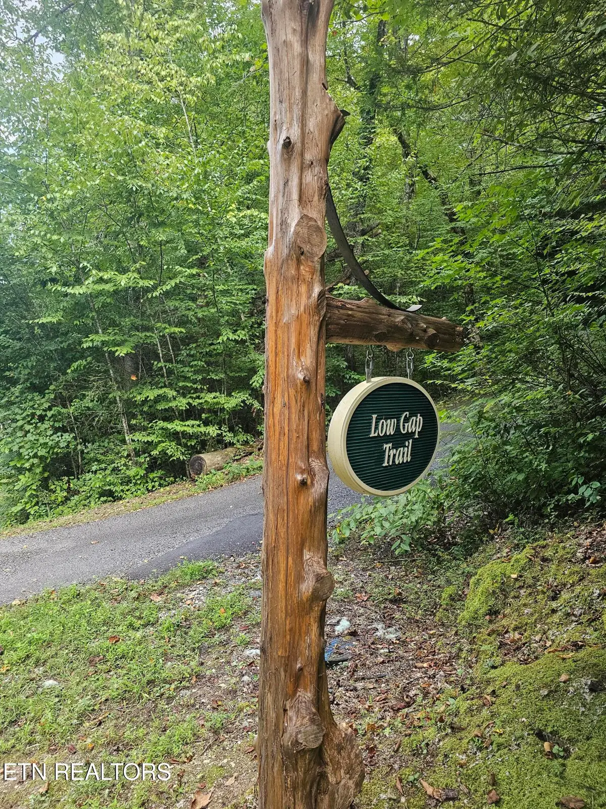 231 Low Gap Tr, Townsend, TN 37882 - #1