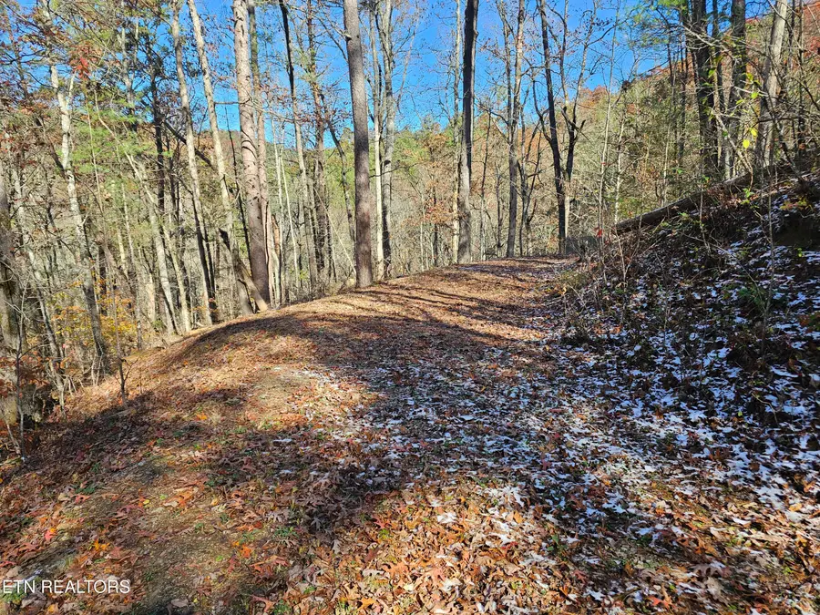 231 Low Gap Tr, Townsend, TN 37882 - #3