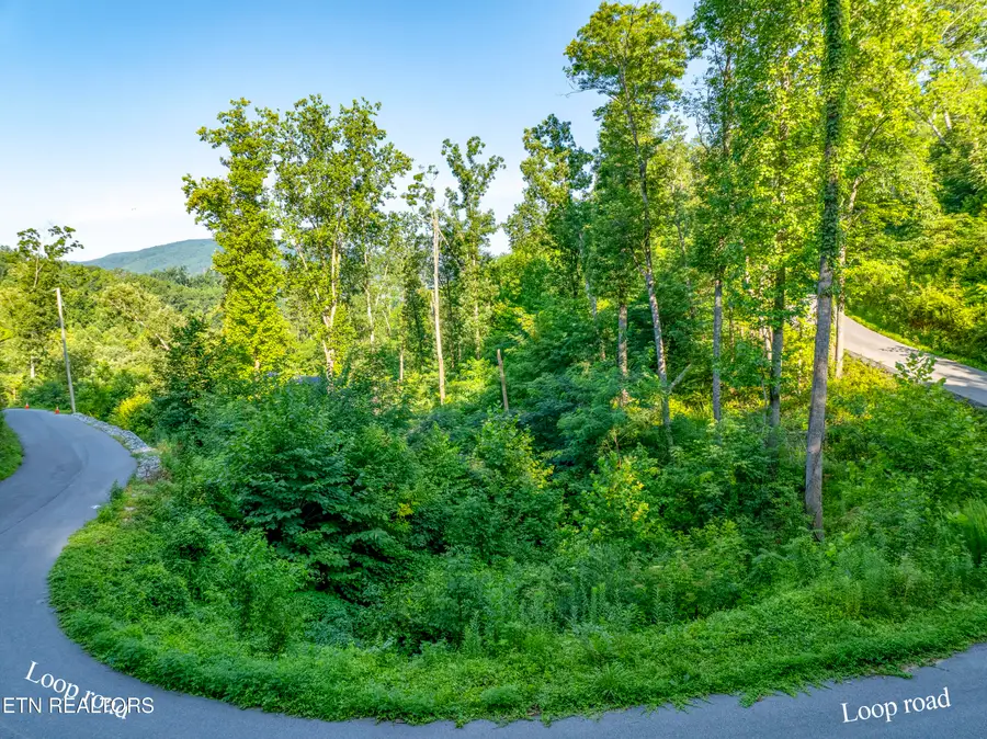 Loop Rd, Gatlinburg, TN 37738 - #2