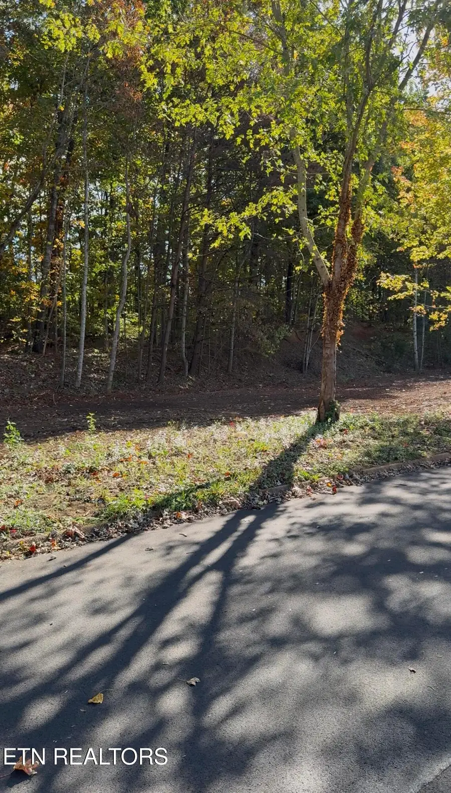 0 Miller Circle, Seymour, TN 37865 - #3