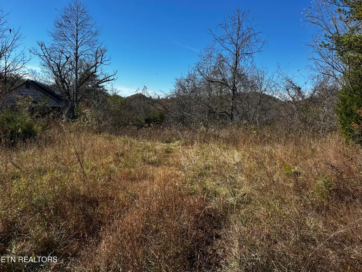 Shadden Road Lot 1, Tellico Plains, TN 37385 - #1
