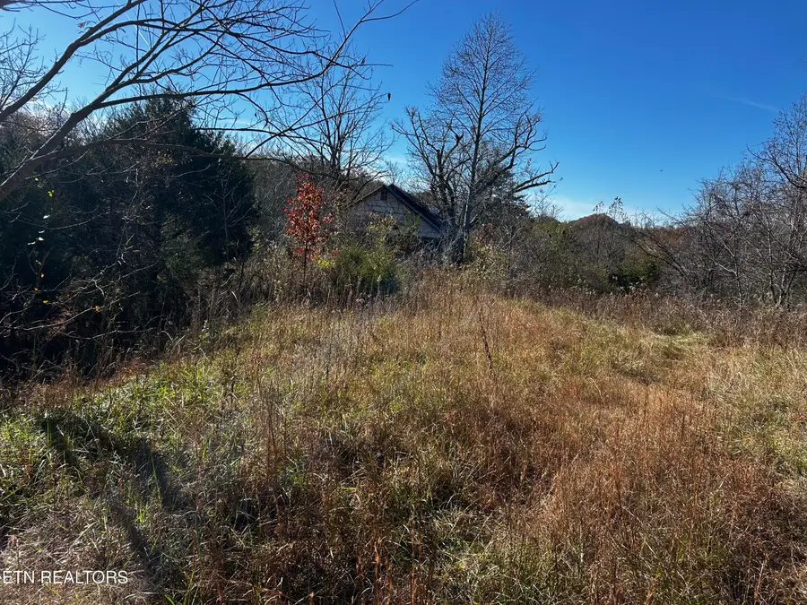 Shadden Road Lot 1, Tellico Plains, TN 37385 - #2
