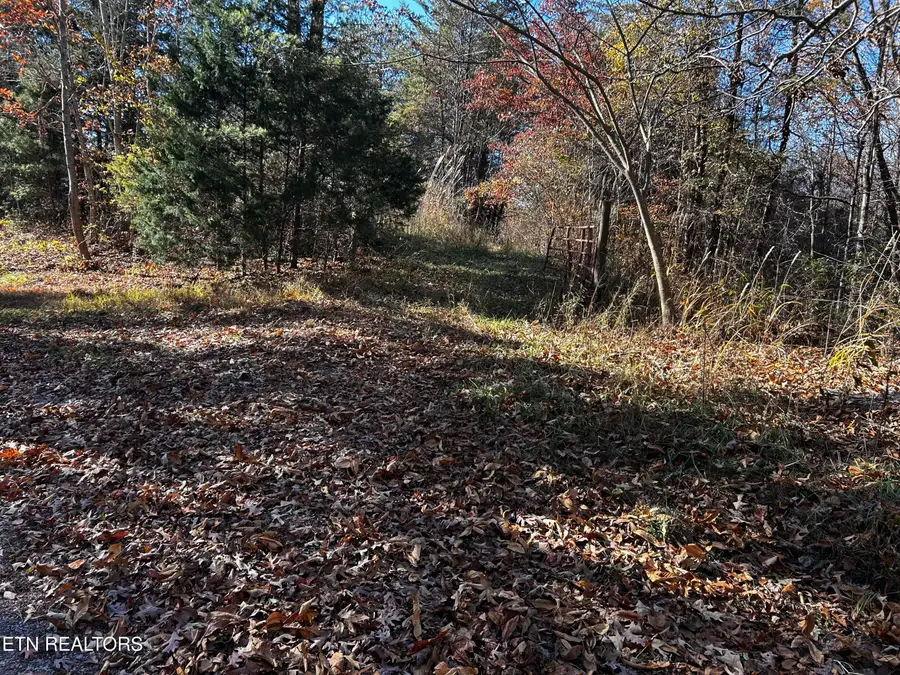 Shadden Road Lot 2, Tellico Plains, TN 37385 - #3
