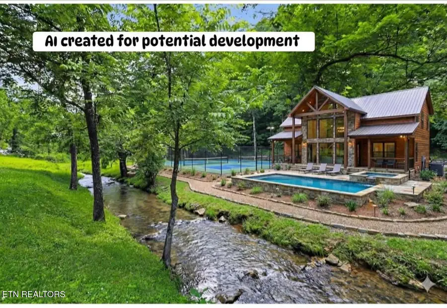 553 Caney Creek Rd, Pigeon Forge, TN 37863 - #2