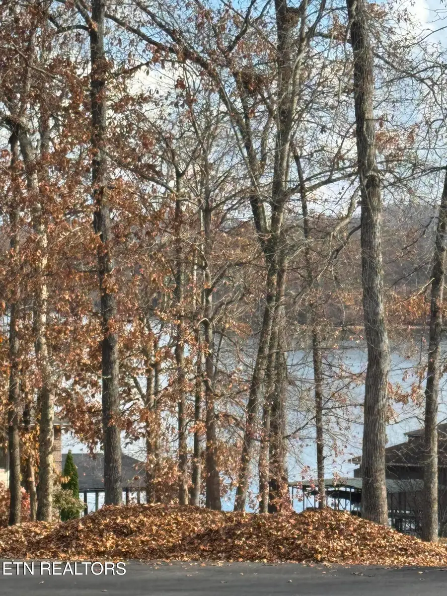 301 Cheestana Way, Loudon, TN 37774 - #2