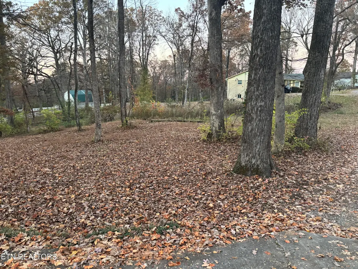 205 Ridge Rd, Maryville, TN 37803 - #1